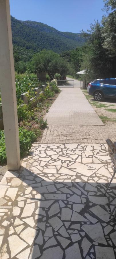 Apartmani Maslina Žuljana エクステリア 写真