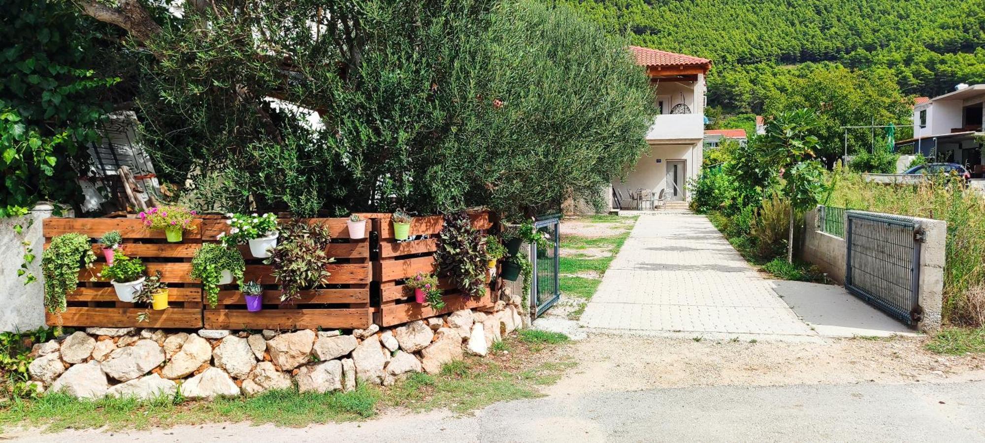 Apartmani Maslina Žuljana エクステリア 写真
